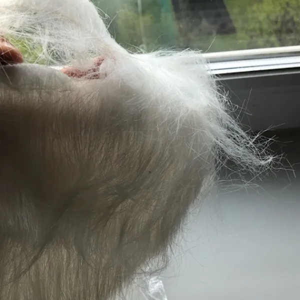 2 ST Löst Skägg Långt Fluffigt Skägg VIT> Tillbehör