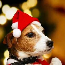 GGNO 5 st Söt Hund & Katt Jultomteluva Justerbar 3D Jultomteluva><noscript><img width=