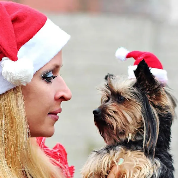 GGNO 5 st Söt Hund & Katt Jultomteluva Justerbar 3D Jultomteluva> Huvudbonader