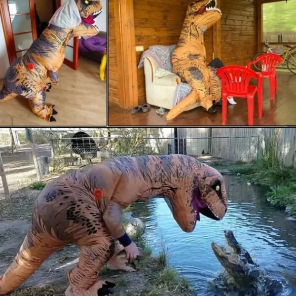 (Brun) Tyrannosaurus Rex Dräkt Vuxen Dinosauriedräkt Uppblåsbar> Dräkter