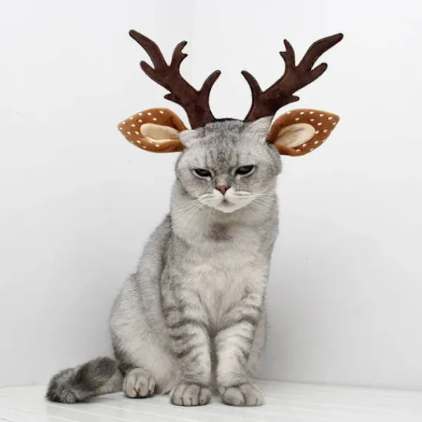 /EA/Julren katt huvudbonad, M30cm bågomkrets 30cm,> Huvudbonader