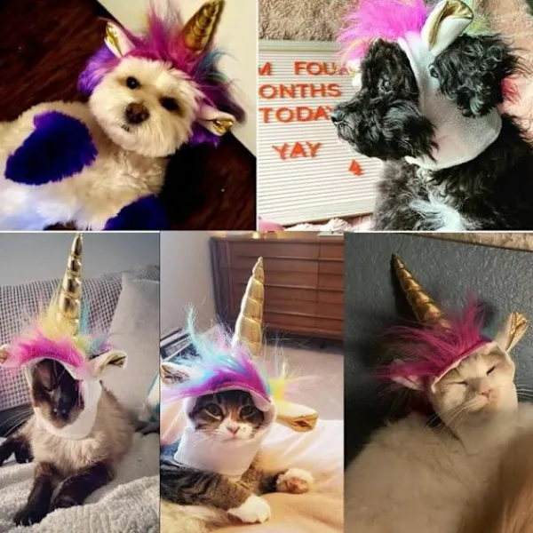 Enhörningshatt för husdjur, för katter och små hundar, valp, kattkostym, accessoar för Halloween, cosplay, manmössa> Huvudbonader