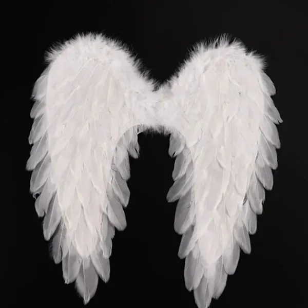 Feather Wings Cosplay Little Wings> Tillbehör