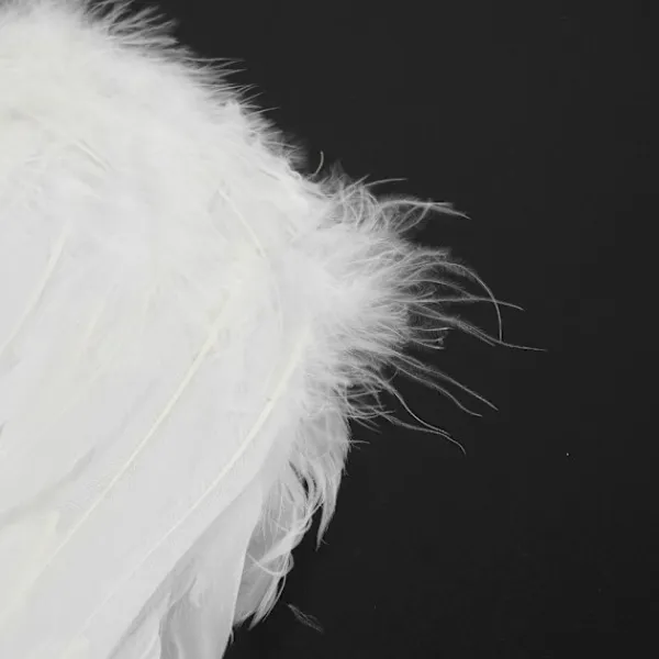 Feather Wings Cosplay Little Wings> Tillbehör