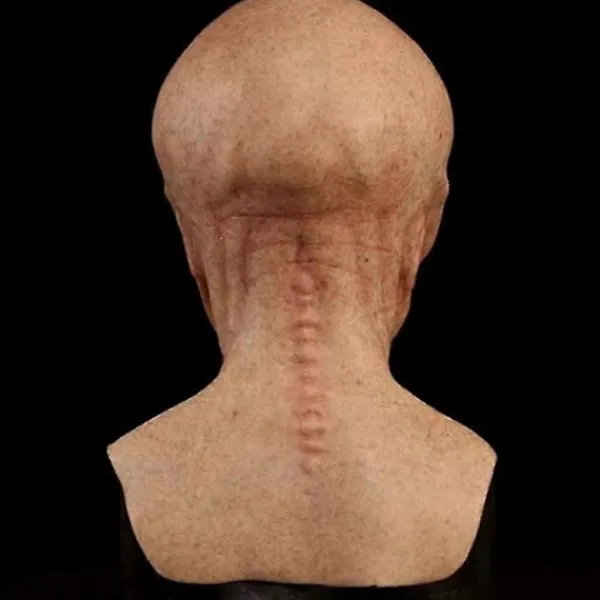FMYSJ Halloween Läskig Latex Ufo Stora Ögon Helhuvud Party Mask För Vuxna Maskerad Kostym Party Cosplay Mask (FMY)> Masker
