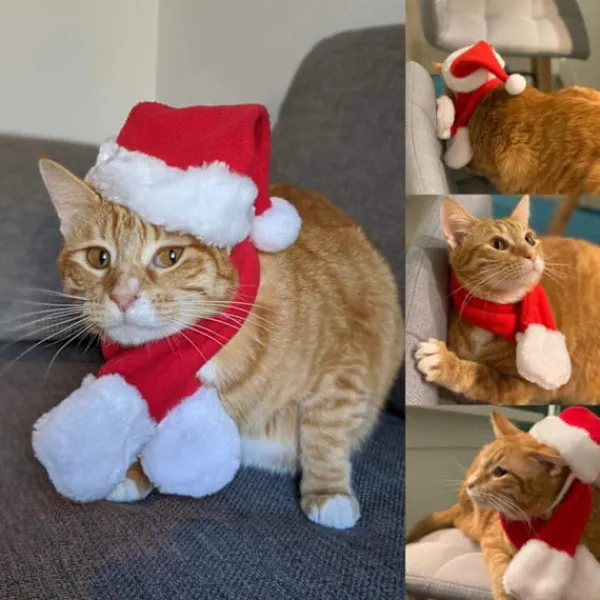 Jultomtehatt med Halsduk för Katt - Juldräktset för Valp Hund Ca,ZQKLA> Tillbehör