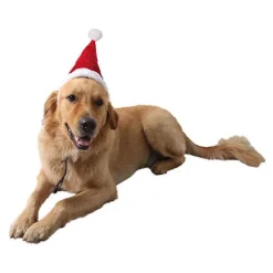 NeunWolken Jultomteluva för hund och katt, husdjur, jultomteluva, julkostym för valp, små, medelstora och stora hundar (S) s> Huvudbonader