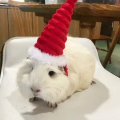 Lizard Tomte Hatt Kanin Withscarf Juldräkt 01 01 01><noscript><img width=