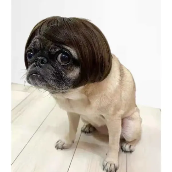 Rolig Hund Cosplay Peruk, Huvudbonad Kläder Leksak, Husdjursdräkter, Katt DXGHC> Huvudbonader