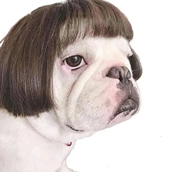 Rolig Hund Cosplay Peruk, Huvudbonad Kläder Leksak, Husdjursdräkter, Katt DXGHC> Huvudbonader