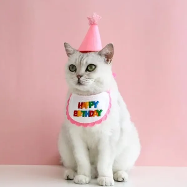 Rosa, husdjurshalsduk - Minihund och katt - Festsjalar och hatt -> Huvudbonader