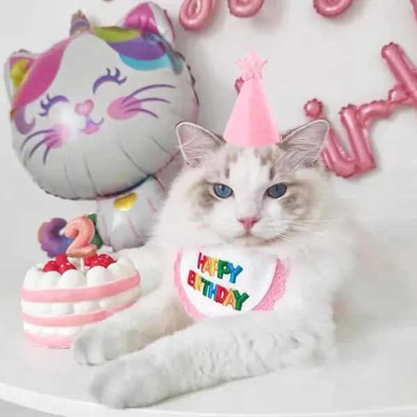 Rosa, husdjurshalsduk - Minihund och katt - Festsjalar och hatt -> Huvudbonader