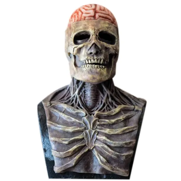 Skull Mask Creepy Biochemical Mask Halloween Cosplay> Masker