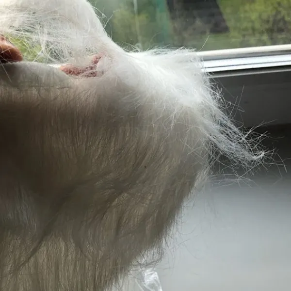 2ST Fake Beard Långt Fluff Skägg GRÅT> Tillbehör