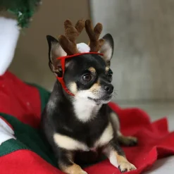 LBSS Tillbehör för husdjur Jultillbehör Hund Hårnål Katttillbehör Julhornshorn Pannband Hundhatt><noscript><img width=