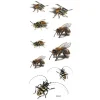 XiaoTeng Tillfällig Tatuering 19 x 9cm - Geting / insekter> Smink